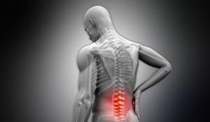 05_muscoloskeletal