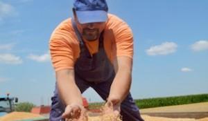 a1_temporary_workers-1