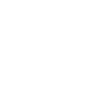 Permanent Disability